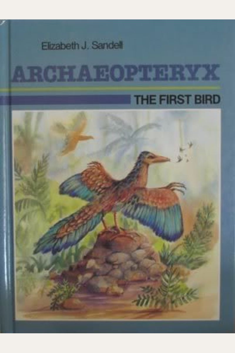 Buy Archaeopteryx The First Bird Book By Elizabeth Sandell