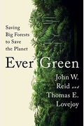 Ever Green: Saving Big Forests To Save The Planet