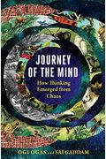 Journey Of The Mind: How Thinking Emerged From Chaos