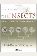 The Insects: An Outline Of Entomology