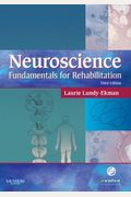 Neuroscience: Fundamentals For Rehabilitation