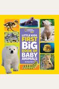 Little Kids First Big Book Of Baby Animals