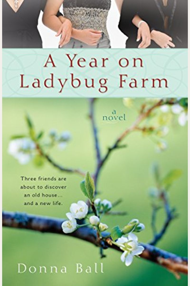 A Year On Ladybug Farm
