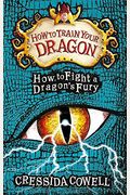 How To Train Your Dragon: How To Fight A Dragon's Fury