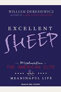 Excellent Sheep: The Miseducation Of The American Elite And The Way To A Meaningful Life