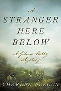 A Stranger Here Below: A Gideon Stoltz Mystery (Gideon Stoltz Mystery Series)
