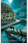 Black Cat Crossing