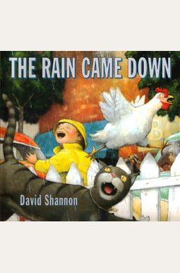 The Rain Came Down The Rain Came Down
