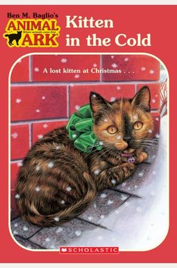 Kitten In The Cold Kitten In The Cold