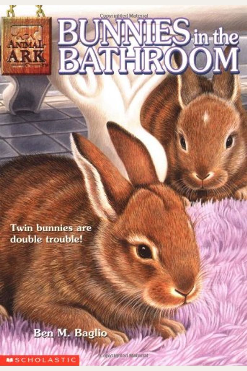 Bunnies In The Bathroom