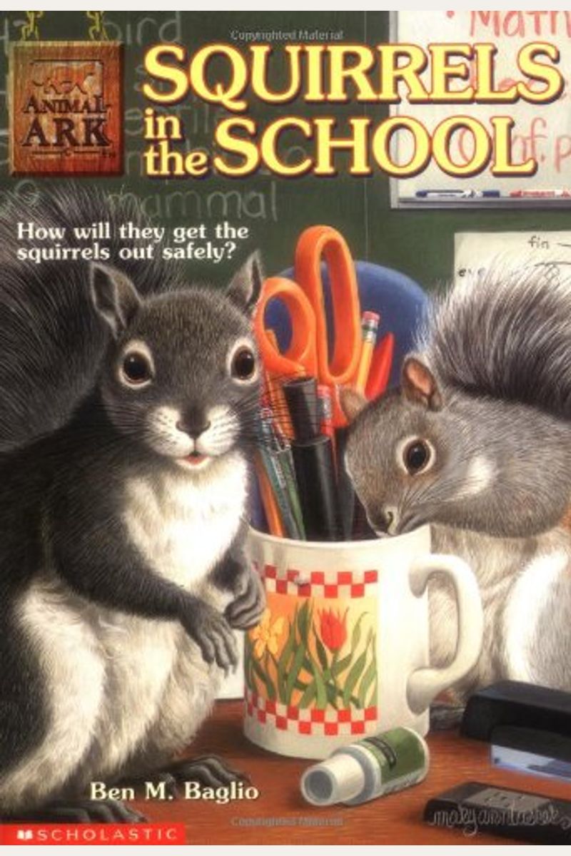 Squirrels In The School