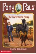 The Newborn Pony (Pony Pals #28)