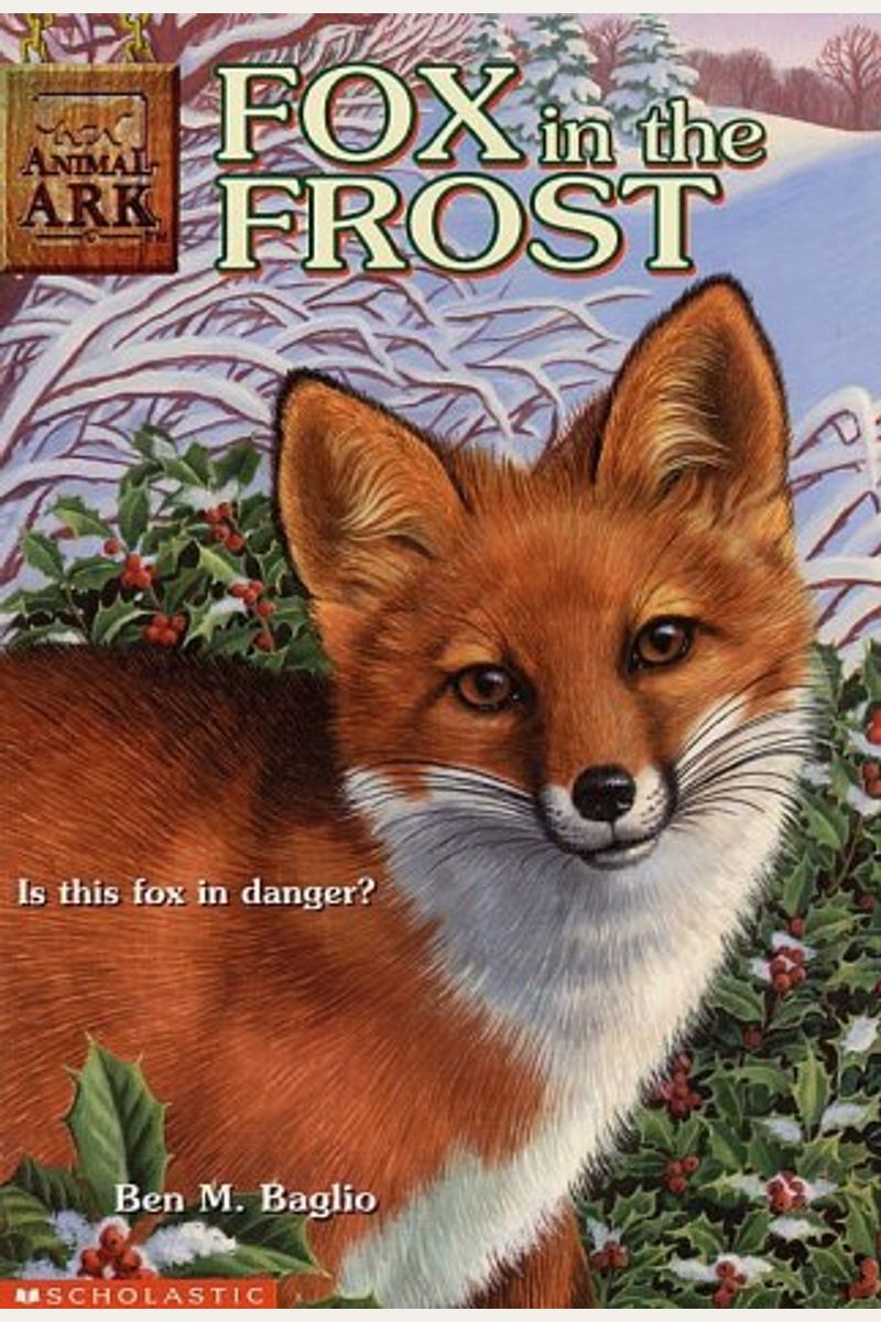 Fox In The Frost (Animal Ark)