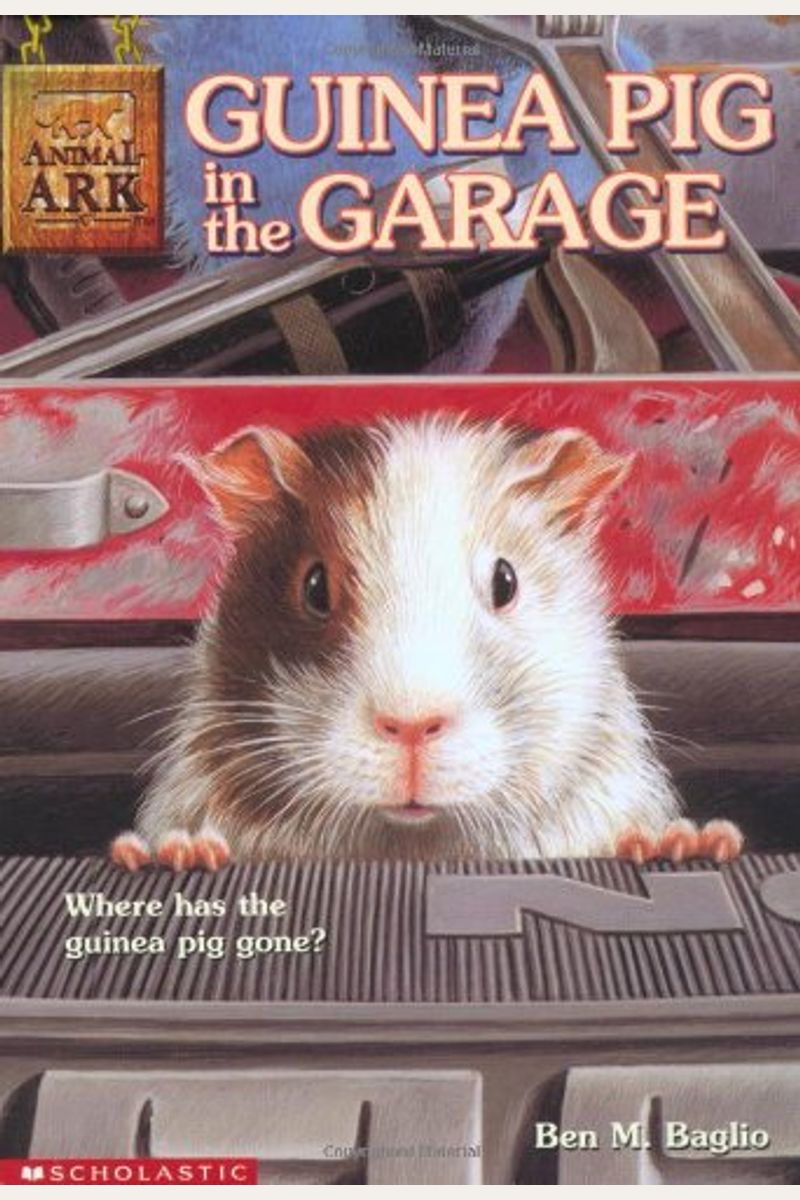 Guinea Pig In The Garage