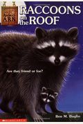 Raccoons On The Roof
