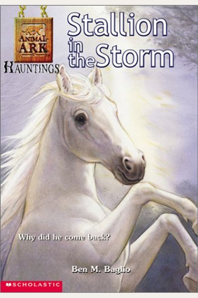 Stallion In The Storm (Animal Ark Hauntings #1)