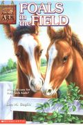 Foals In The Field (Animal Ark Series #24)