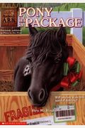 Pony In A Package (Animal Ark Series #27)