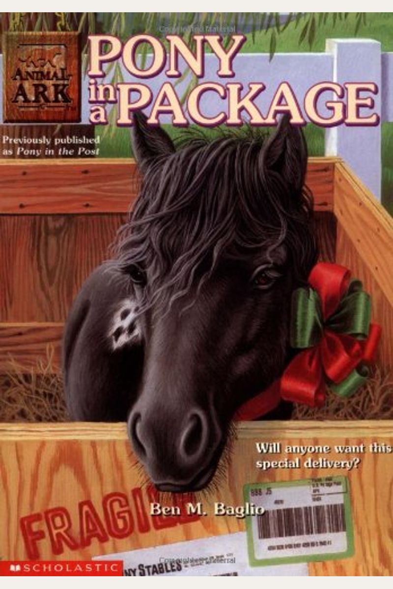 Pony In A Package