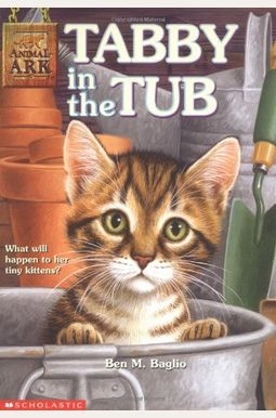 Tabby In The Tub Tabby In The Tub