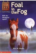 Foal In The Fog (Animal Ark Hauntings #5)