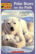 Polar Bears On The Path