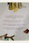 Tropical Fish Identifier: A Complete Guide to Identifying, Choosing, and Keeping Freshwater and Marine Species