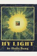 My Light: How Sunlight Becomes Electricity