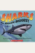 Sharks Big Bigger Biggest