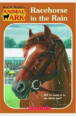 Racehorse In The Rain Racehorse In The Rain
