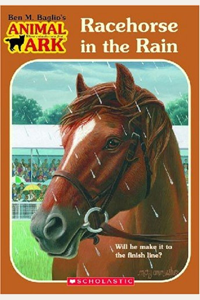 Racehorse In The Rain