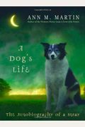 A Dog's Life: The Autobiography Of A Stray (Scholastic Gold)