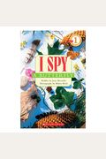 Scholastic Reader Level 1: I Spy A Butterfly