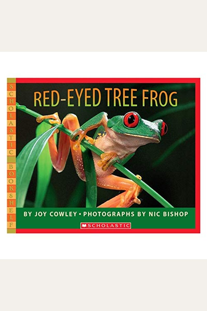 Buy RedEyed Tree Frog Book By Joy Cowley