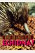 What On Earth Is An Echidna?
