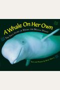 A Whale On Her Own: The True Story Of Wilma The Beluga Whale