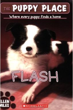 Flash Flash