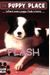 Flash
