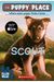 Scout (Turtleback School & Library Binding Edition) (Puppy Place)
