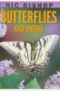 Nic Bishop: Butterflies And Moths