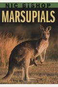 Nic Bishop: Marsupials