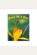 Busy As A Bee: Mini Book