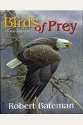 Birds Of Prey: An Introduction