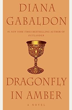 Dragonfly In Amber Dragonfly In Amber