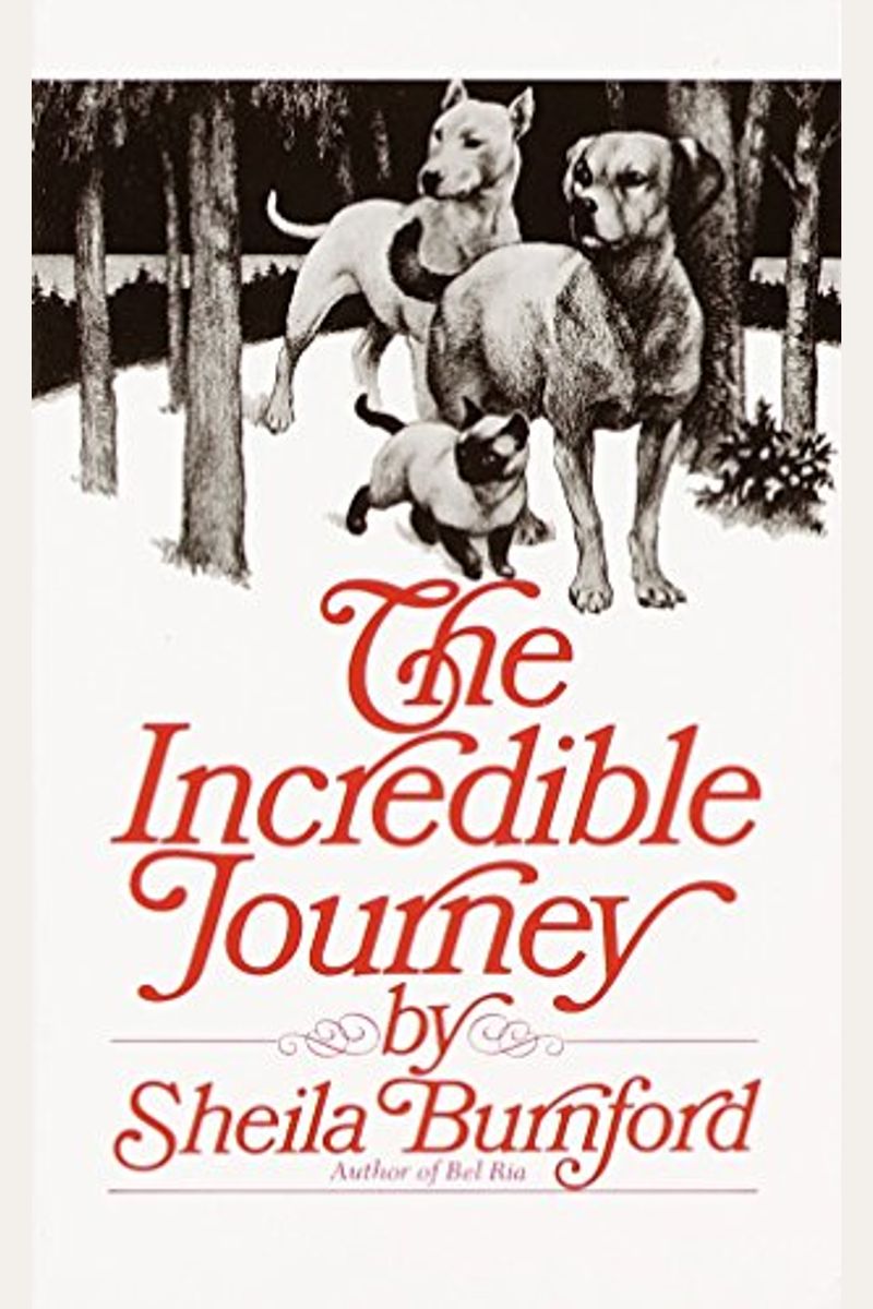 The Incredible Journey