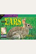 Animal Ears (Look Once, Look Again Science Series)
