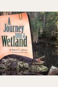 A Journey Into A Wetland