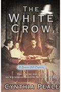 The White Crow: A Beacon Hill Mystery