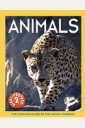 Animals (Ultimate Guide)