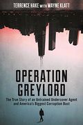 Operation Greylord: The True Story Of An Untrained Undercover Agent And America's Biggest Corruption Bust